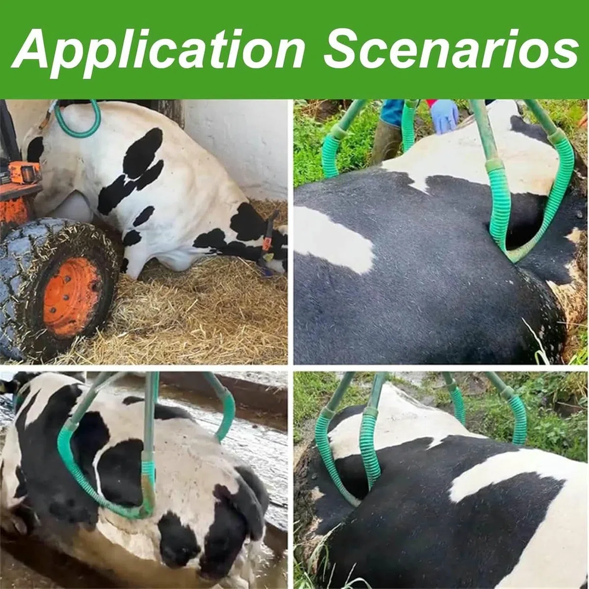 Outil de levage réglable de hanche de vache pour les bovins de ferme laitière, assistant d'aide pour la récupération sévère de la fièvre typhoïde