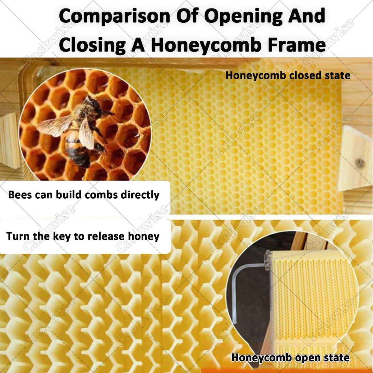 Kits d'apiculture pour débutants, Ruche à Miel avec fenêtre d'observation, 7 Cadres de couvain et système d'extraction de Miel intégré, pour l'apiculture de Jardin. Ruche cabane.