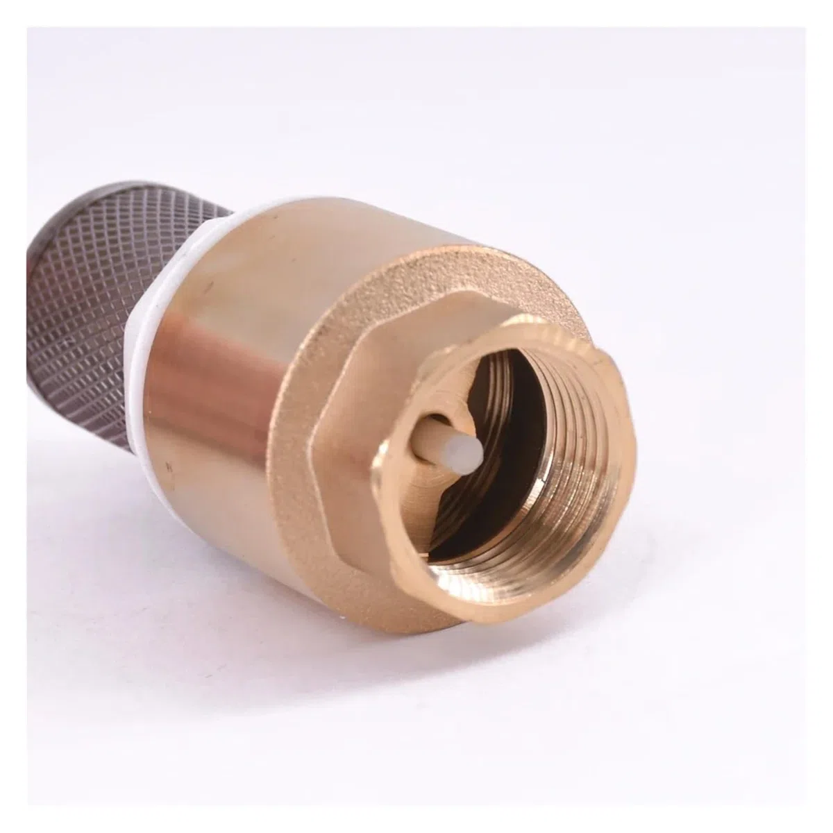 LIUCH Clapet anti-retour femelle en laiton, 1/2 "3/4" 1 "1-1/4" 1-1/2 "2" 2-1/2 "3", anti-retour avec filtre crépine en acier for la plomberie d'eau(3")