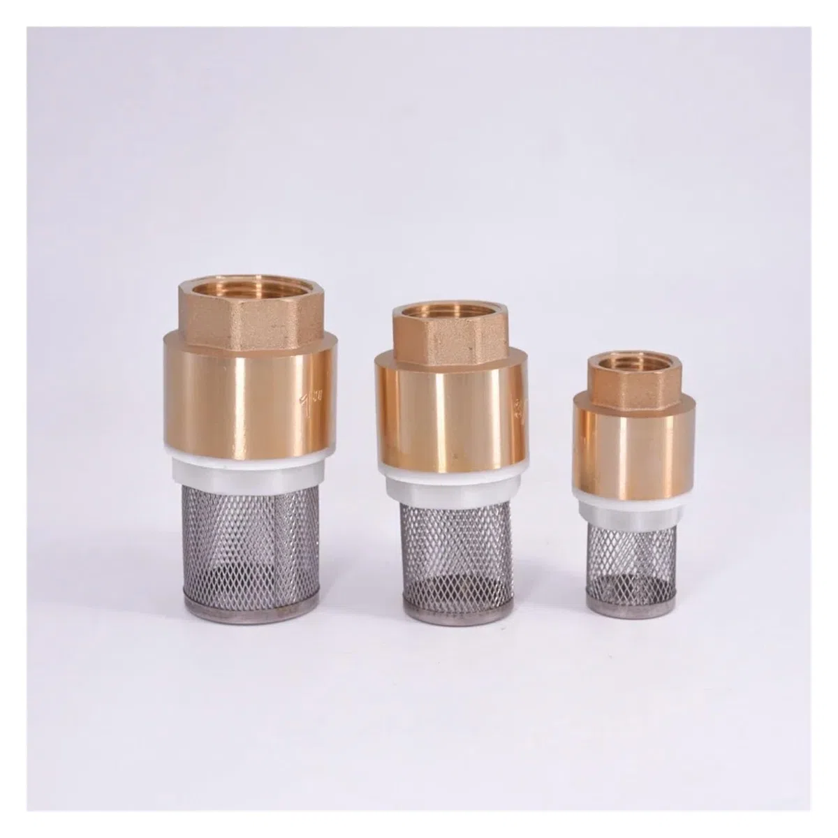 LIUCH Clapet anti-retour femelle en laiton, 1/2 "3/4" 1 "1-1/4" 1-1/2 "2" 2-1/2 "3", anti-retour avec filtre crépine en acier for la plomberie d'eau(3")