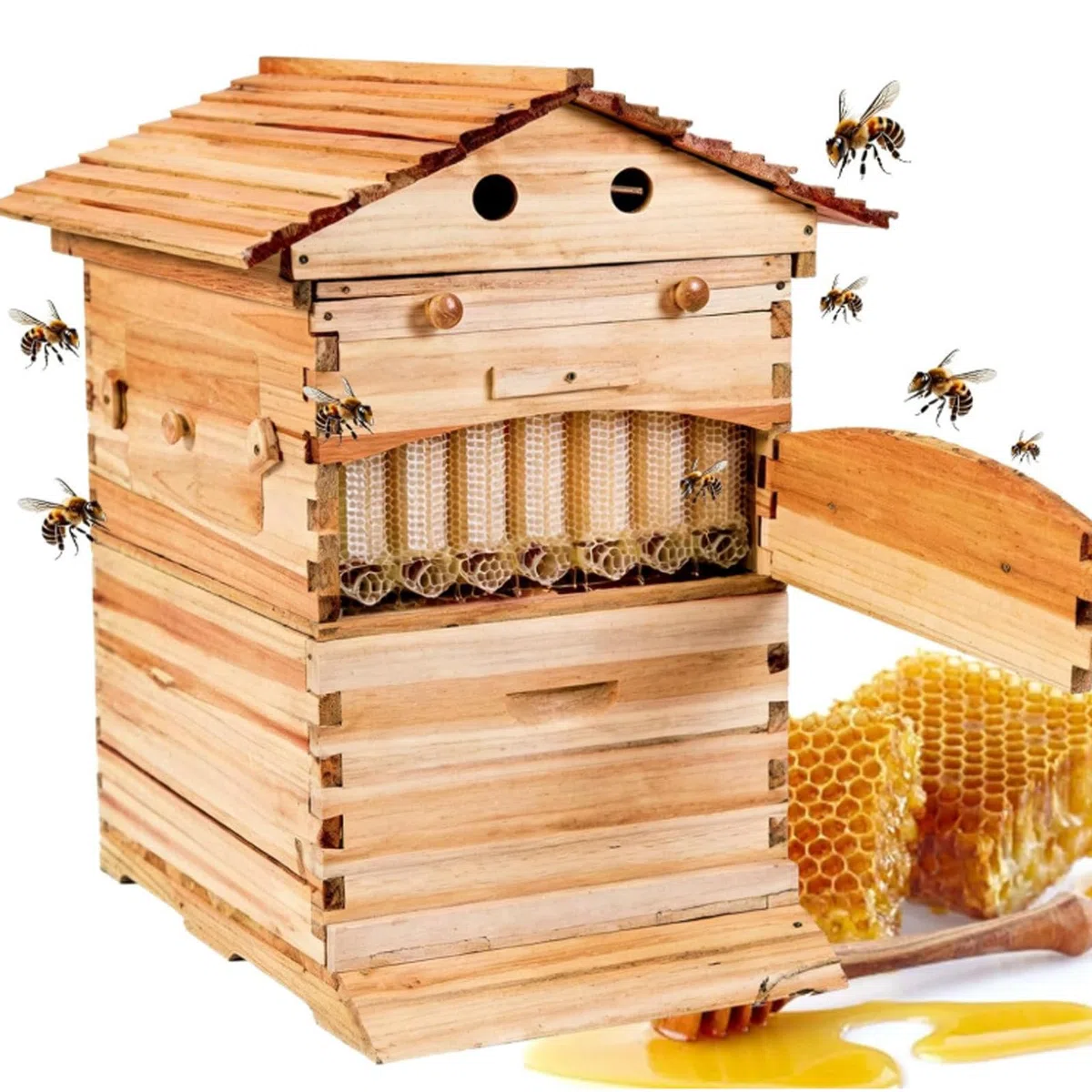 Kits d'apiculture pour débutants, Ruche à Miel avec fenêtre d'observation, 7 Cadres de couvain et système d'extraction de Miel intégré, pour l'apiculture de Jardin. Ruche cabane.