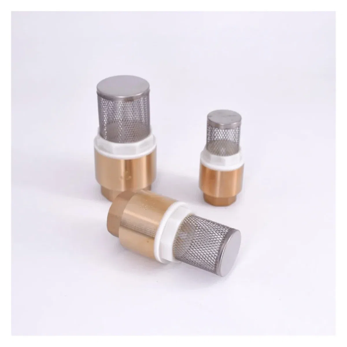 LIUCH Clapet anti-retour femelle en laiton, 1/2 "3/4" 1 "1-1/4" 1-1/2 "2" 2-1/2 "3", anti-retour avec filtre crépine en acier for la plomberie d'eau(3")